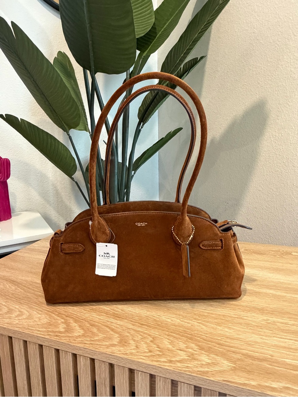 Coach Women's Empire Carryall Bag 34